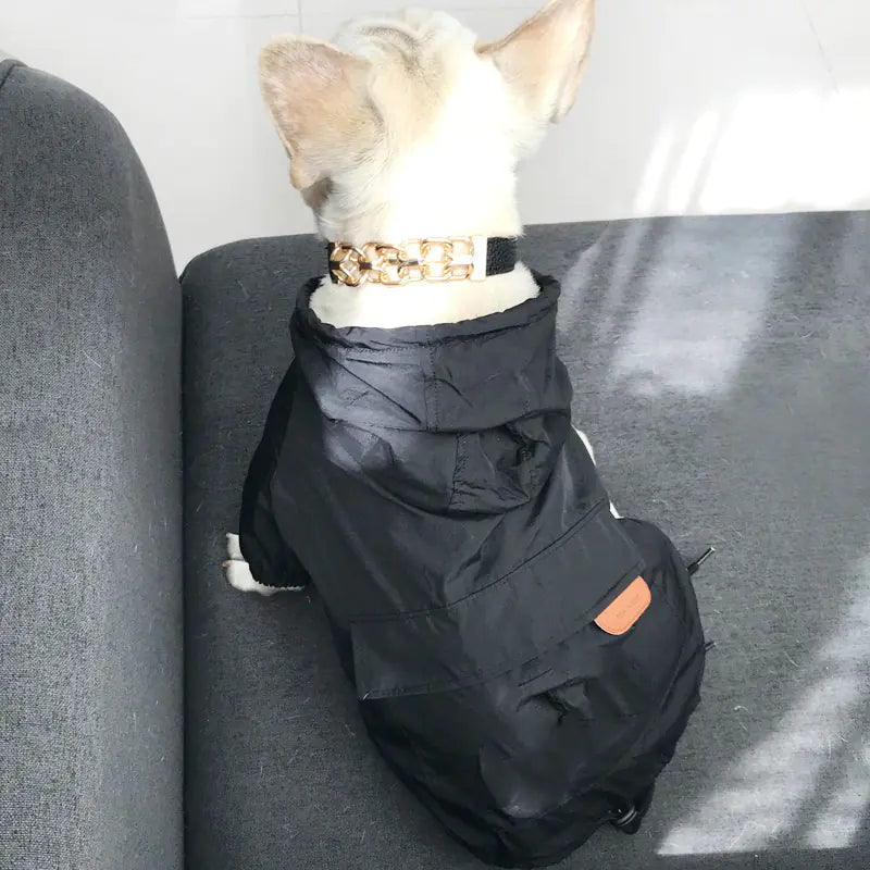 Dog-Safe Sunscreen for Pets