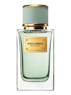 DOLCE&GABBANA 100ML 3.3 fl.Oz Velvet Infusion Eau de Parfum