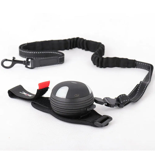 Automatic Telescopic Leash for Pets