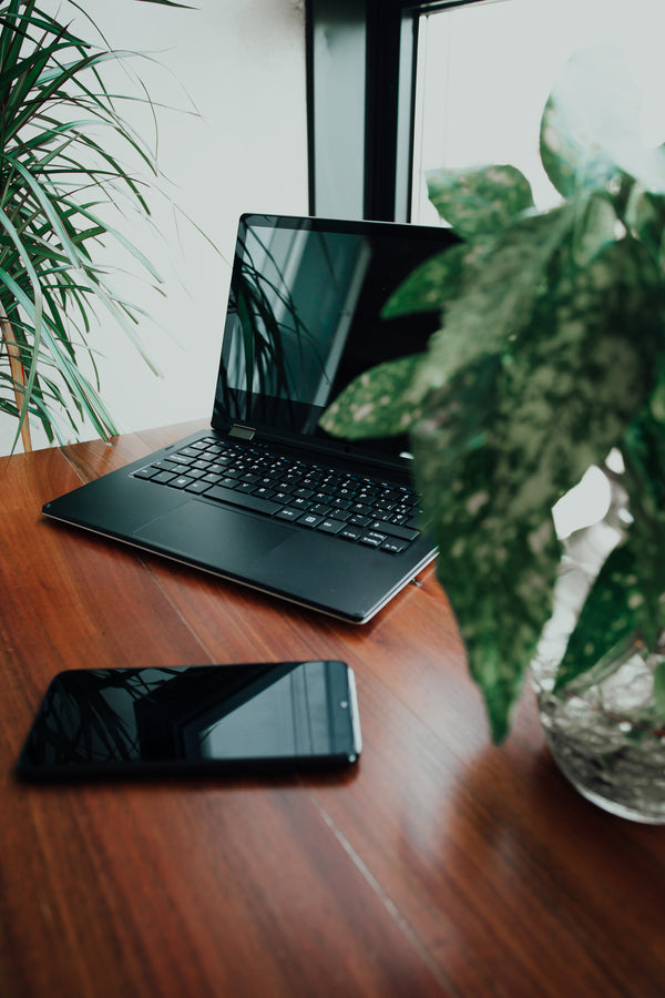 Consumer Electronics